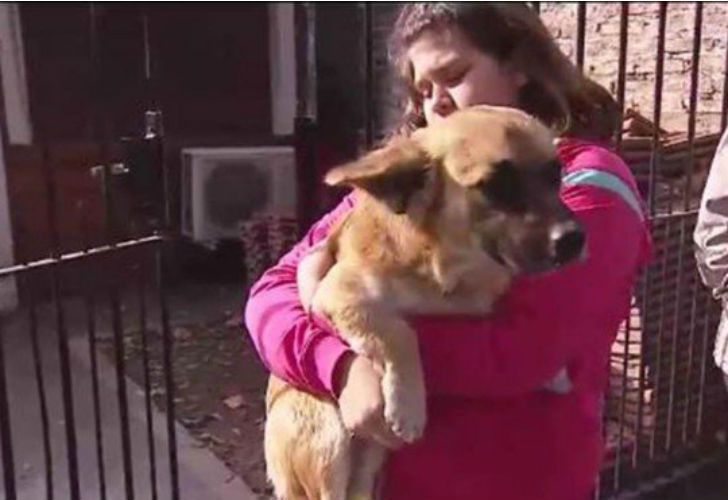 Orejón, el perro que salvó a un bebé abandonado