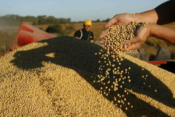 El valor de producción agrícola local perdió US$ 660 millones