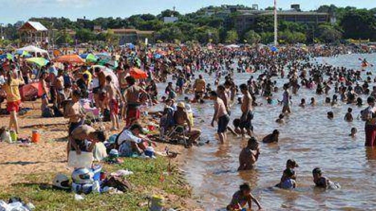Cinco consejos para evitar el ataque de las palometas