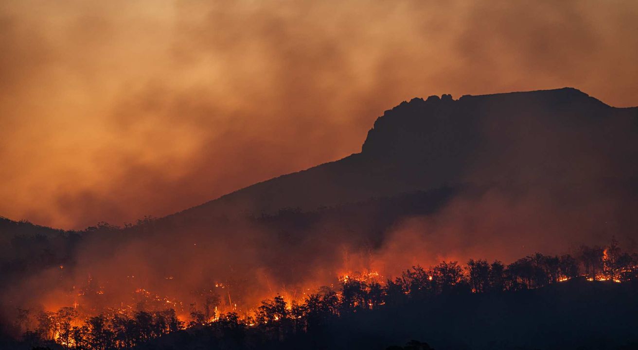 El cambio climático que se viene, ¿afecta la decisión de procrear de las parejas?