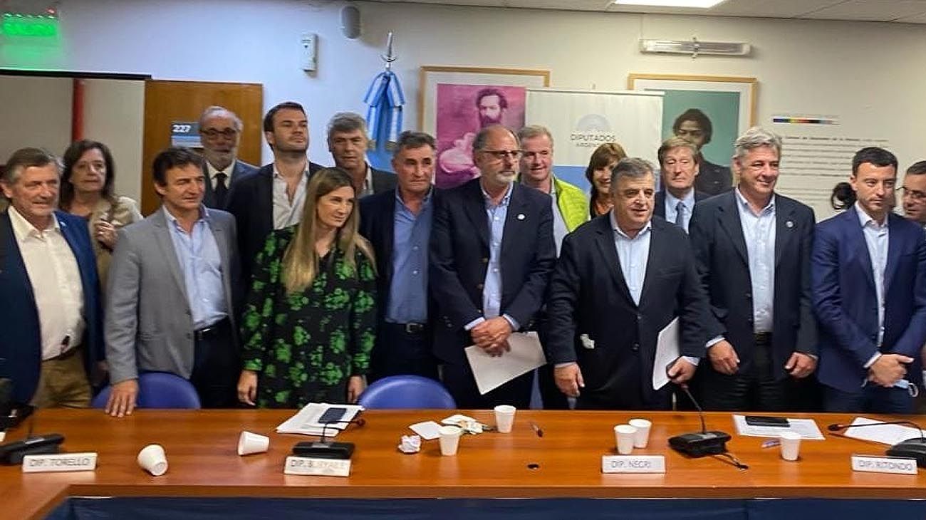 La Mesa de Enlace lleva sus reclamos a Diputados y busca consenso para derogar el DNU