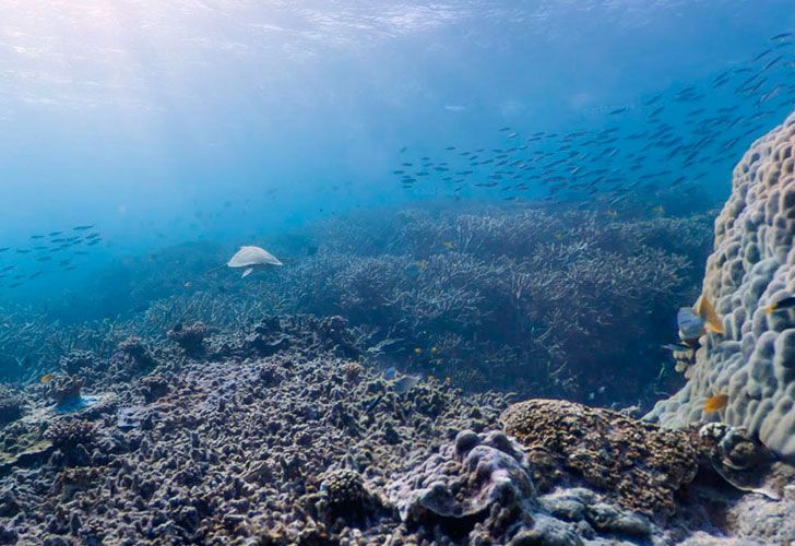 Google se mete en el mar y en 360 grados