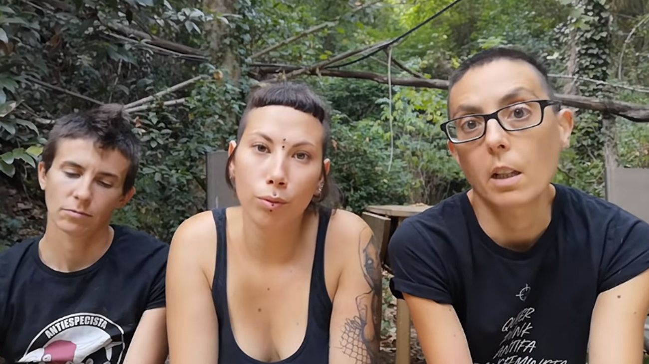 Veganos separan a las gallinas de los gallos para que no sean violadas