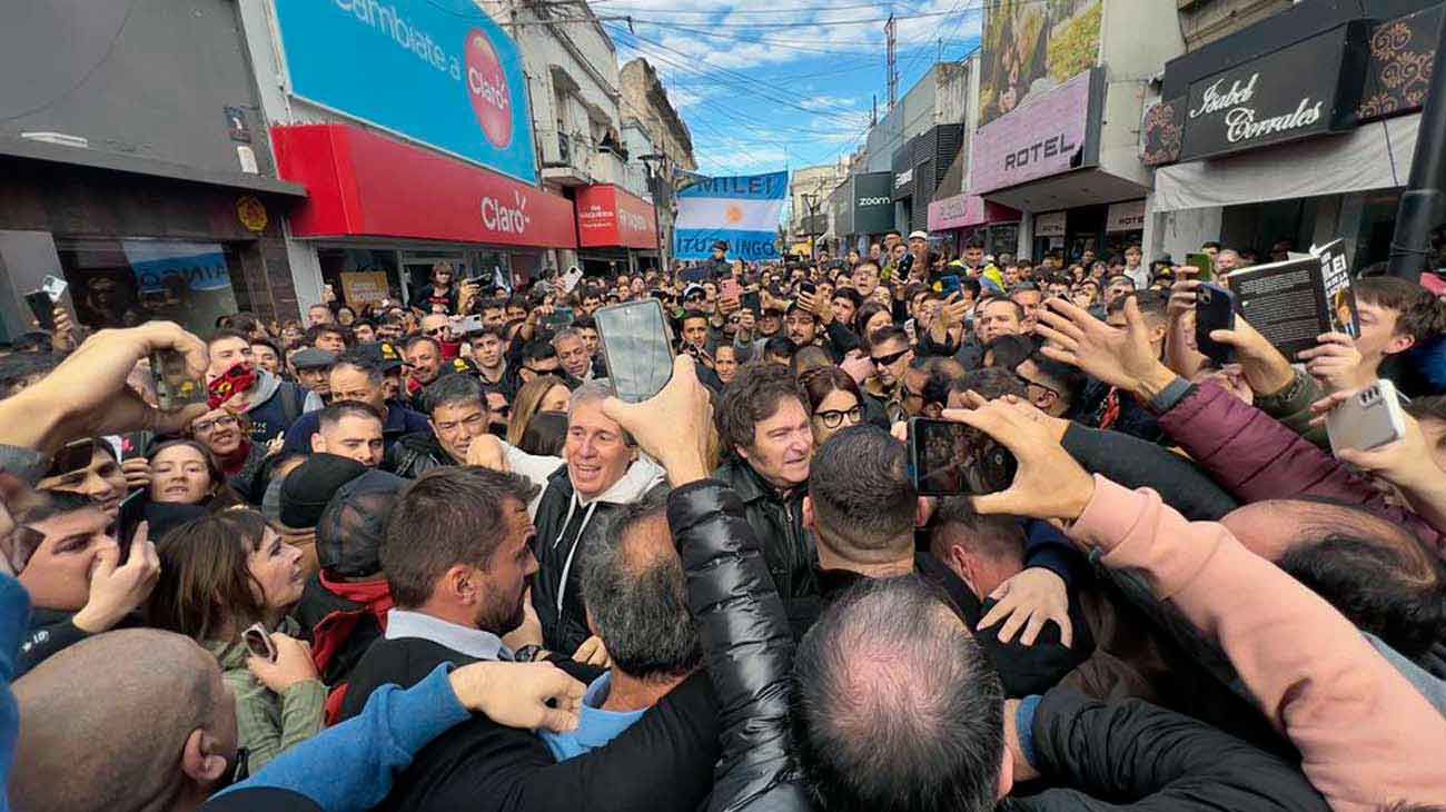 El armado de Milei: alianzas, apoderados y gastos