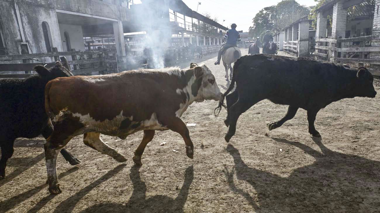 El Mercado de Hacienda de Liniers dejó de operar