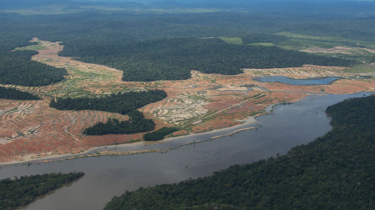 Bolsonaro criticó las cifras "sensacionalistas" sobre la deforestación de la Amazonía brasileña