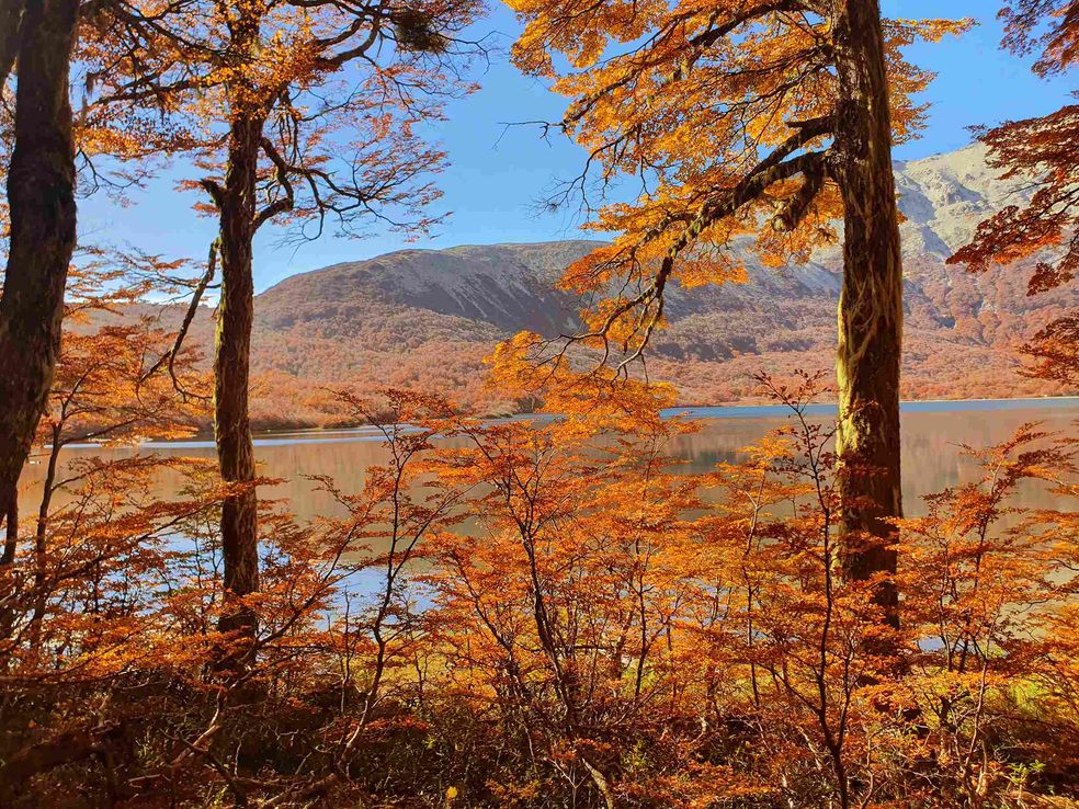 Otoño en Bariloche. Radisson Blu quiere develar el secreto mejor guardado.