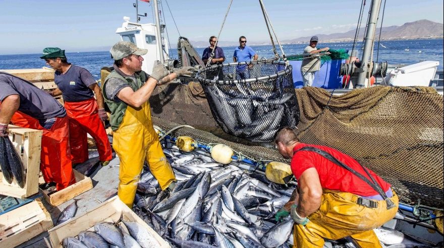 Industria pesquera: ¿De quién es el Mar Argentino?