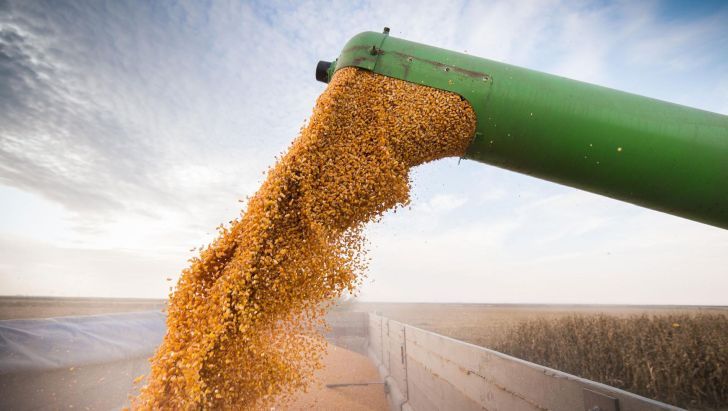 Afirman que el "dólar agro" sólo activaría una liquidación por goteo