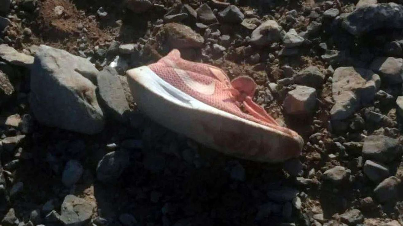San Juan: la jauría que mató a una mujer atacó a un policía y a otras 5 personas