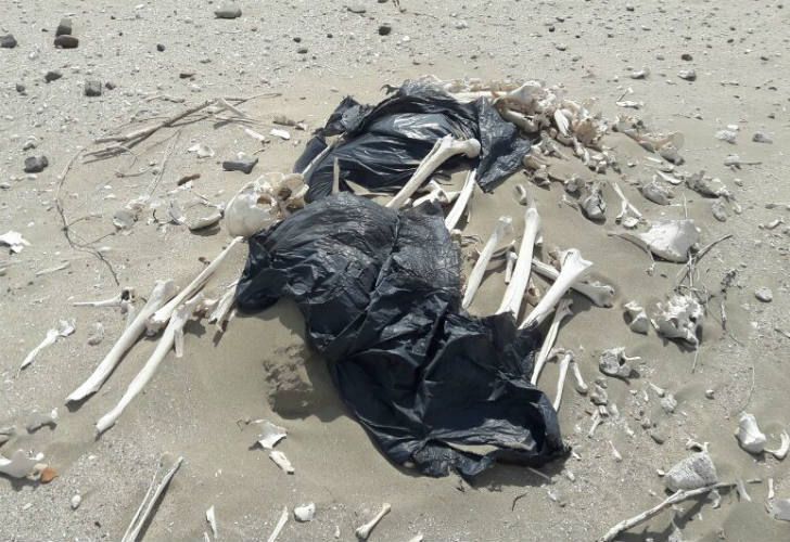 Aseguran que los huesos humanos hallados "no son restos de desaparecidos"