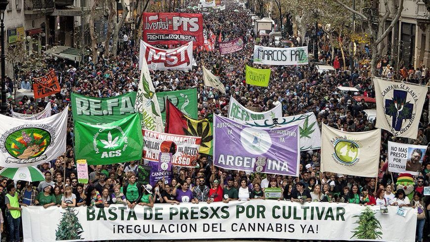 La reglamentación del cannabis es un baño de humildad de la clase política