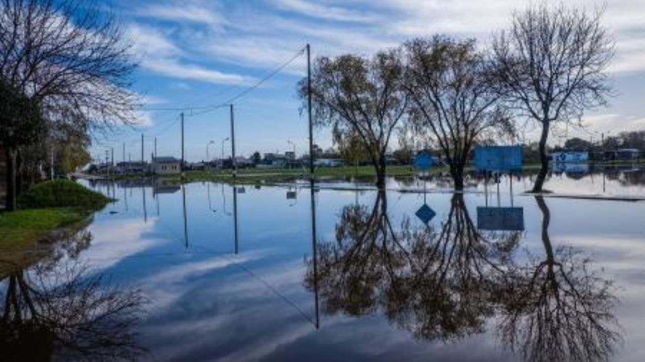 Sismos en Mendoza y Chile: Google y Android dieron aviso con su sistema de alerta sísmica