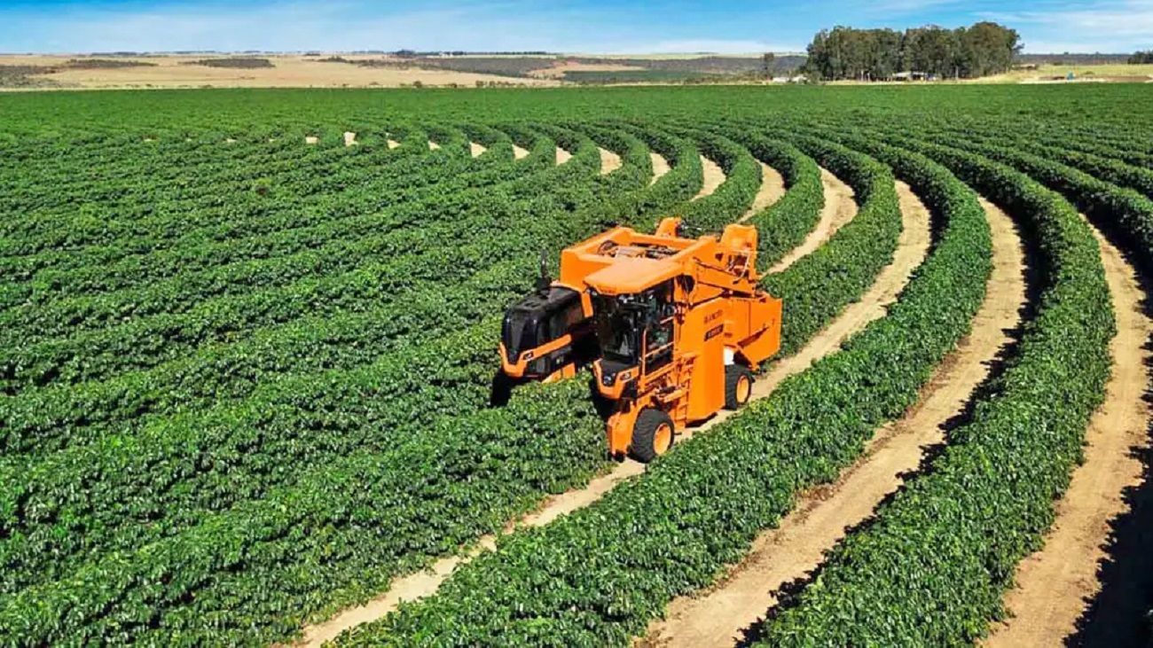 Fundación Barbechando solicita “que la agroindustria esté arriba de la agenda parlamentaria”