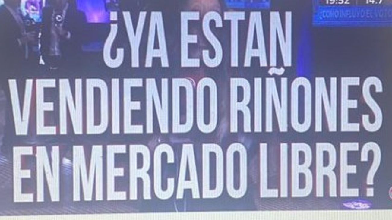 Milei presidente: los memes más graciosos tras el triunfo del referente libertario