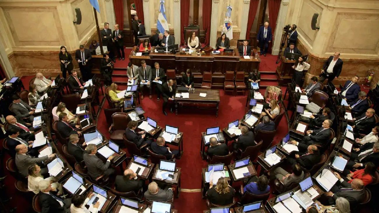 “Hay una mirada del exterior bastante pesada en relación a lo que sucede con el DNU”