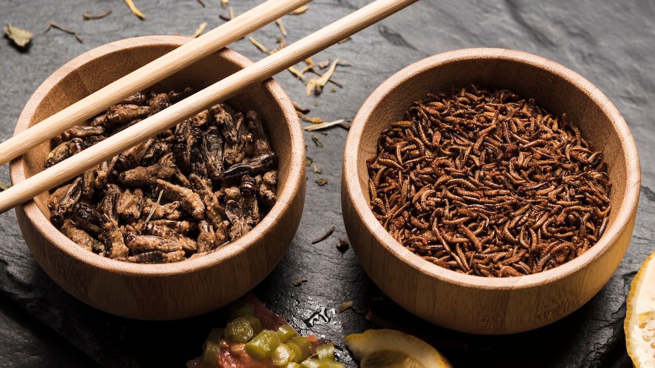 Los insectos y el cannabidiol se posicionan como ingredientes para nuevos alimentos