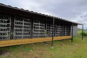 Descubren una granja de criptomonedas que parecía un criadero de pollos