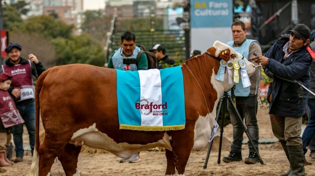 En la Rural se pagó precio récord por media vaca