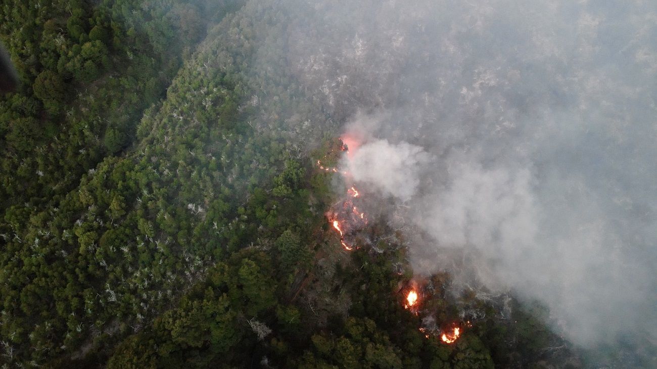 Incendios en Chubut: el fuego de Los Alerces continúa activo y ya quemó casi 8.000 hectáreas