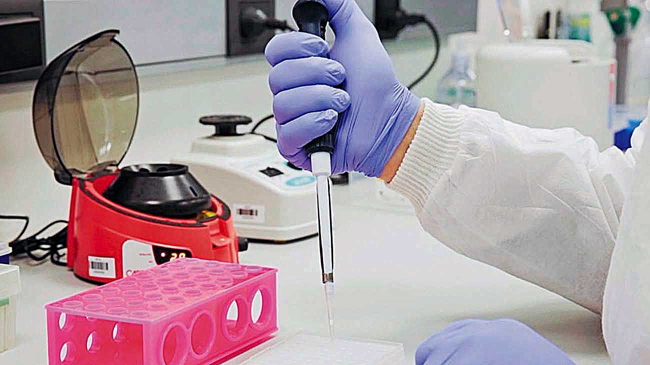 Comprueban que en Argentina circulan las variantes más contagiosas del virus