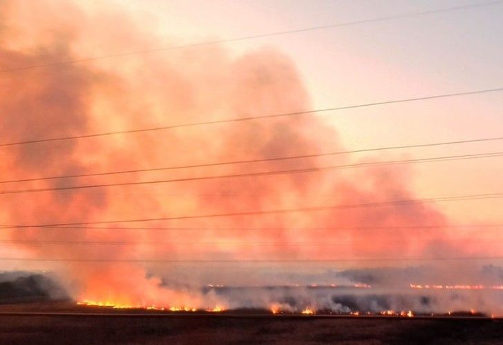 Incendios del Delta en la Justicia: las Defensorías del Pueblo pidieron intervenir