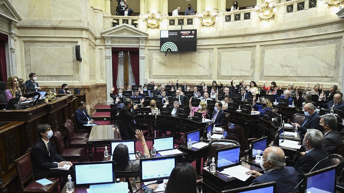 Conflicto Mapuche: el Senado aprobó la prorroga de la ley de Emergencia Territorial Indígena
