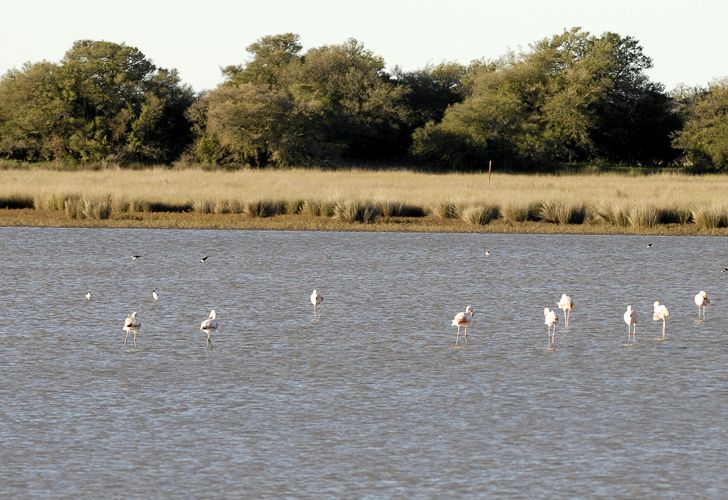 Humedales, la próxima frontera