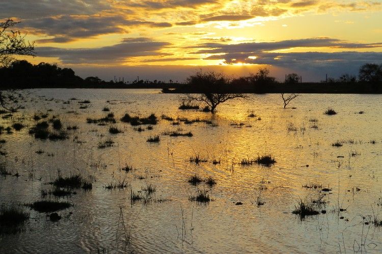 La ley de humedales sigue en pausa y es clave para combatir el calentamiento global