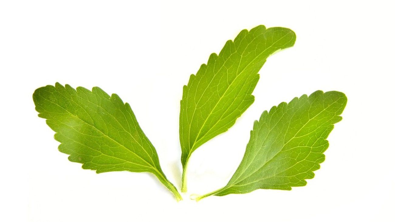 ANMAT retiró de circulación dos edulcorantes stevia