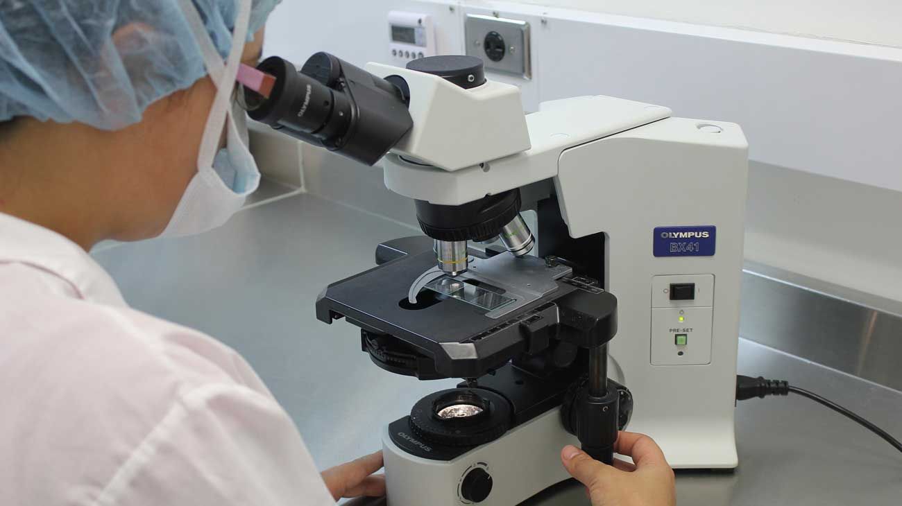 La trascendencia de la investigación de células y sus procesos adaptativos