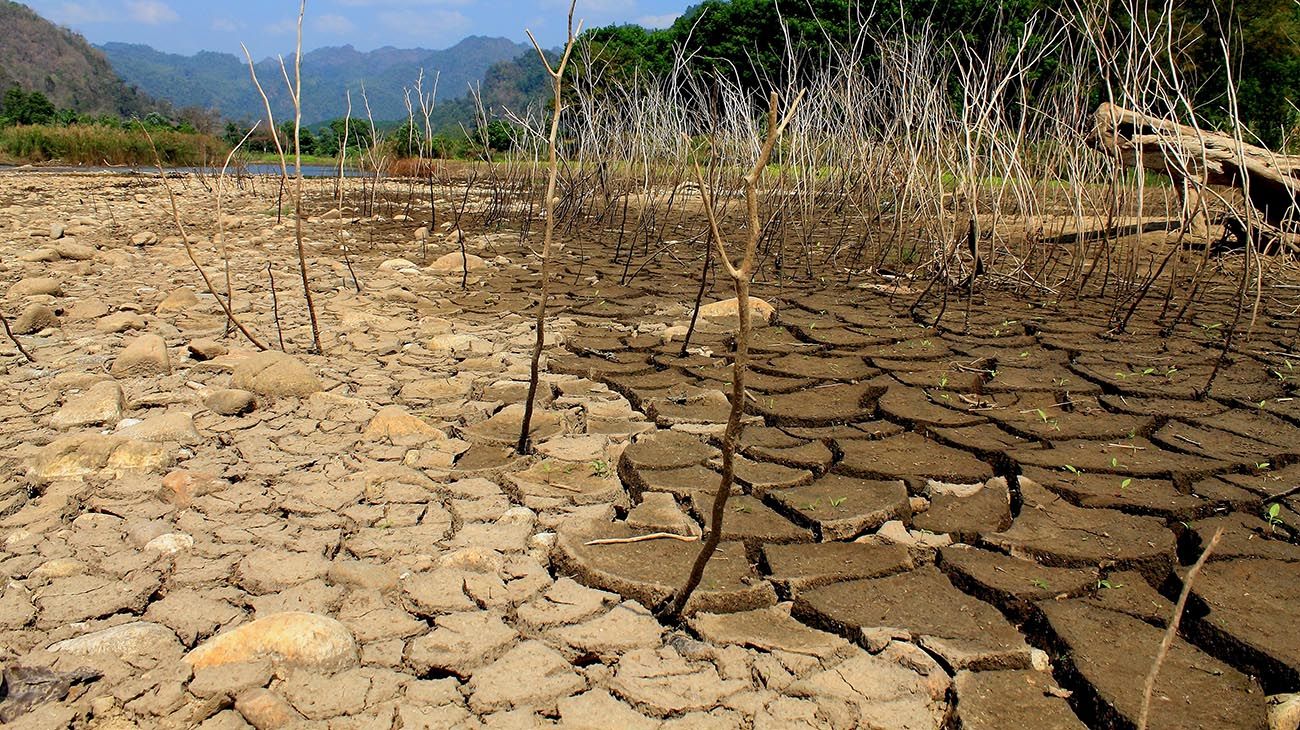 Maristella Svampa y Enrique Viale: "Es necesario un pacto ecosocial"
