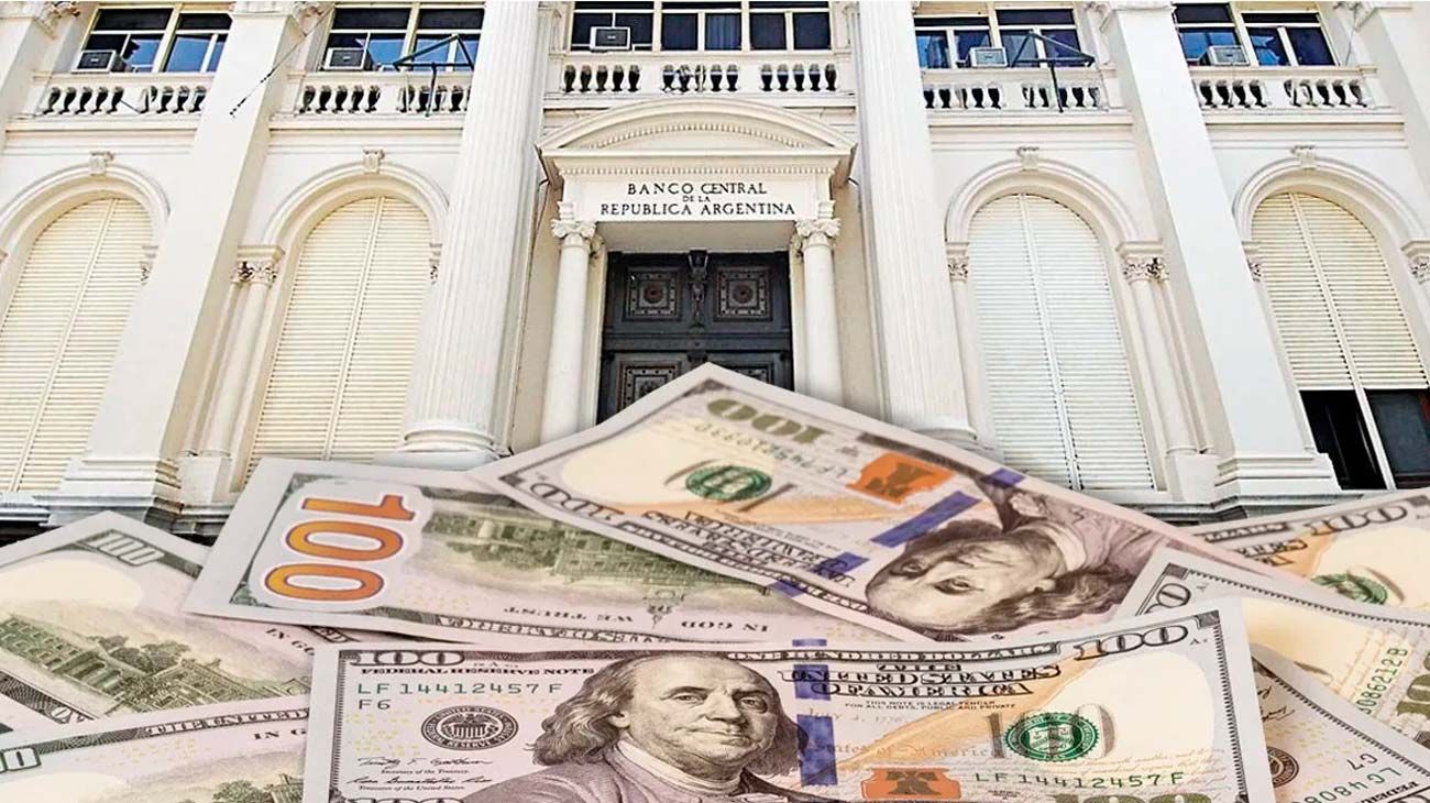 El Gobierno estudia la opción de permitir a los bancos realizar préstamos en dólares