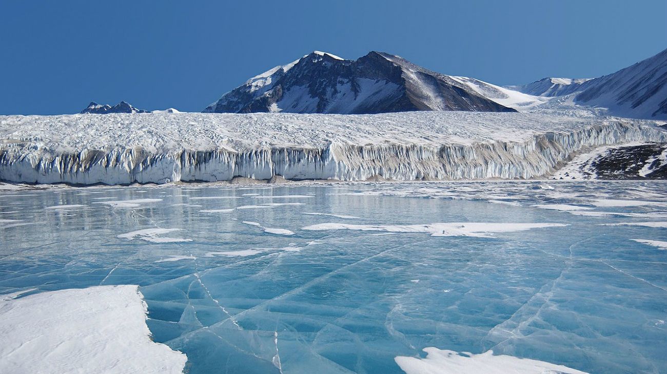 Cooperación antártica: ¿a qué costo?
