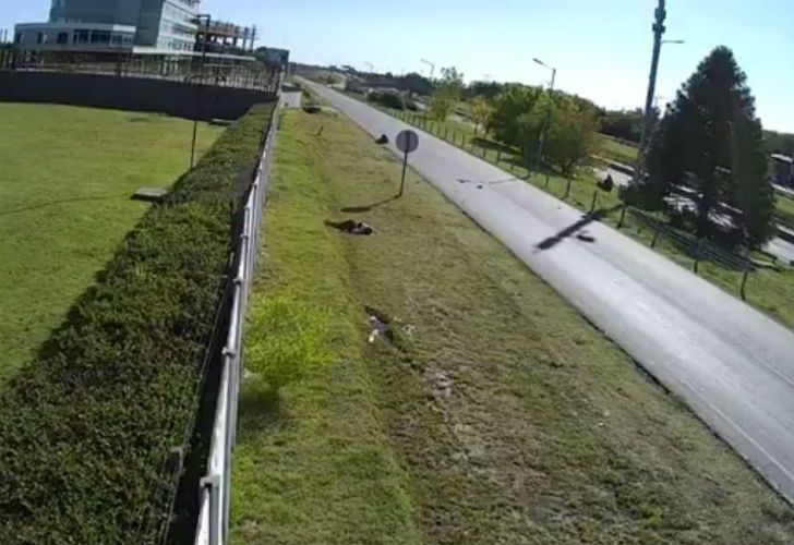 Declaró el policía que atropelló a un matrimonio y huyó: "Me quedé dormido"