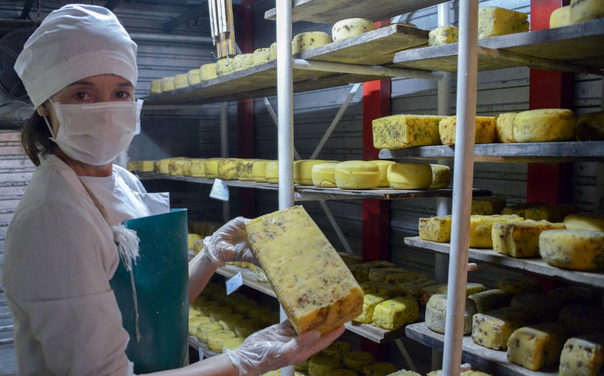 Día Internacional del Queso: siete beneficios nutricionales de un alimento fundamental