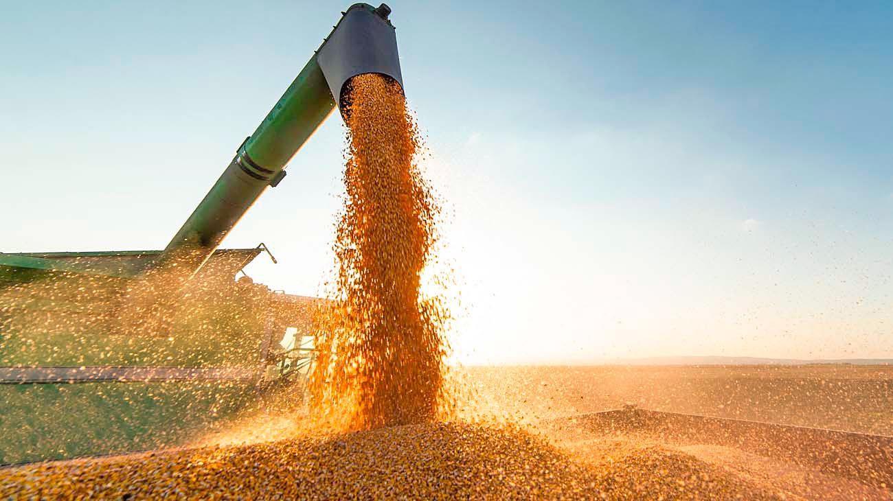 Las exportaciones del campo superarán los US$ 40 mil millones a pesar de la sequía