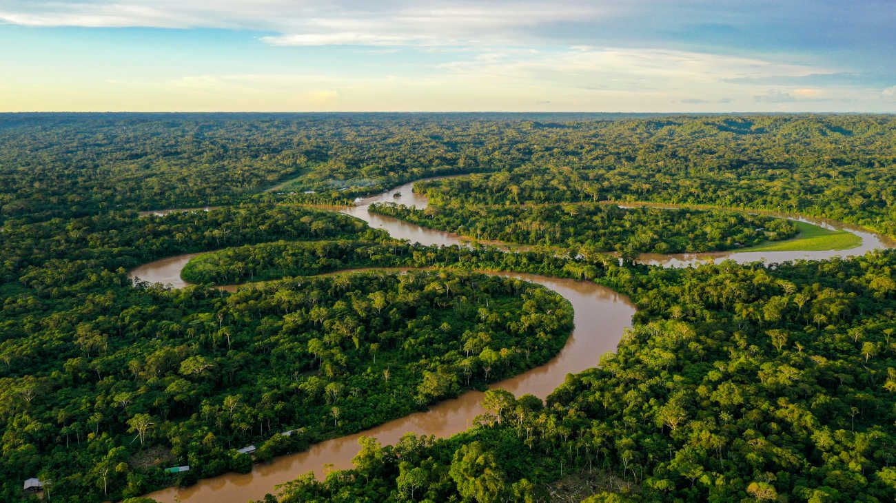 El Amazonas registró la mayor reducción de deforestación durante el año 2023