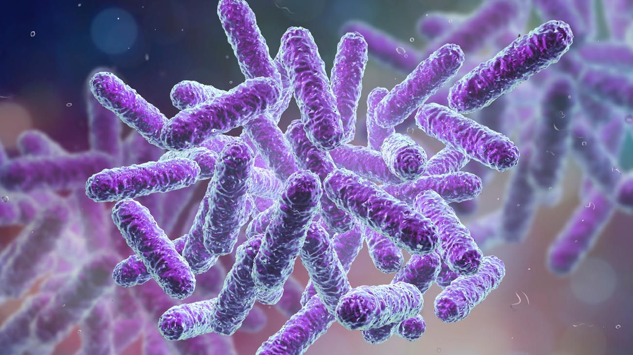 México investiga el brote de una bacteria tras las muerte de 17 niños