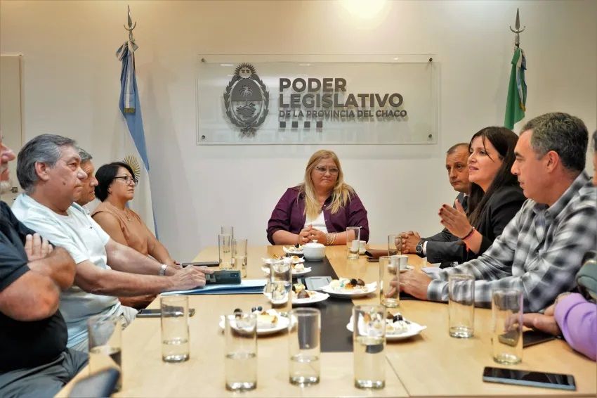 Presentan un proyecto de ley para regular todos los eventos masivos que se realicen en Chaco