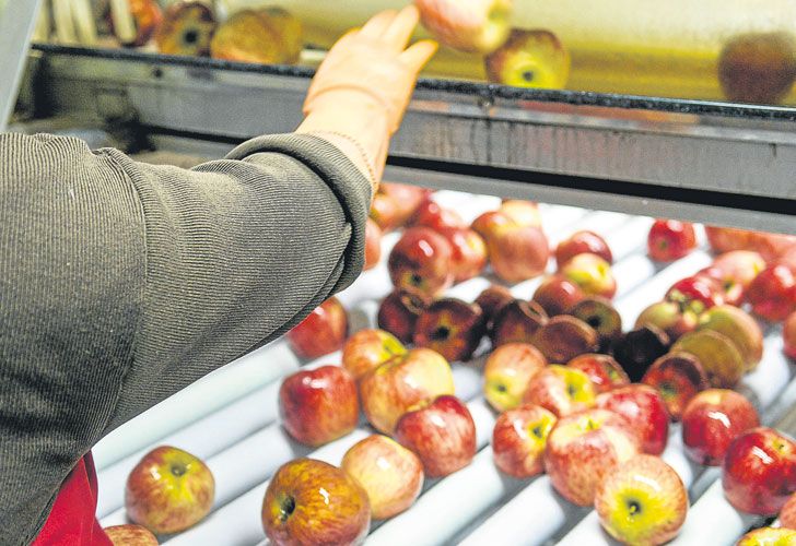 Ultiman acuerdo con China para exportar carnes congeladas y fruta