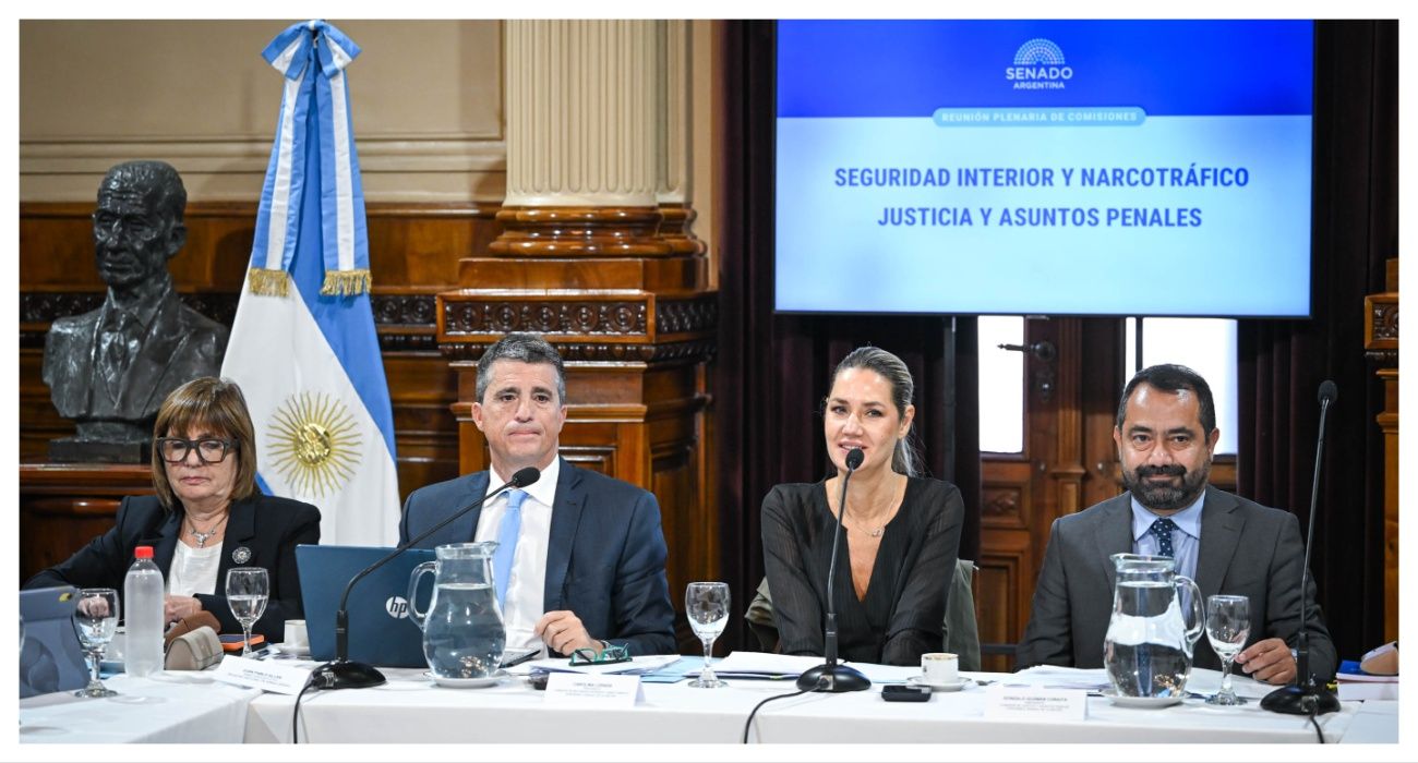 El Gobierno avanza en el Senado con la ley para blanquear armas de fuego