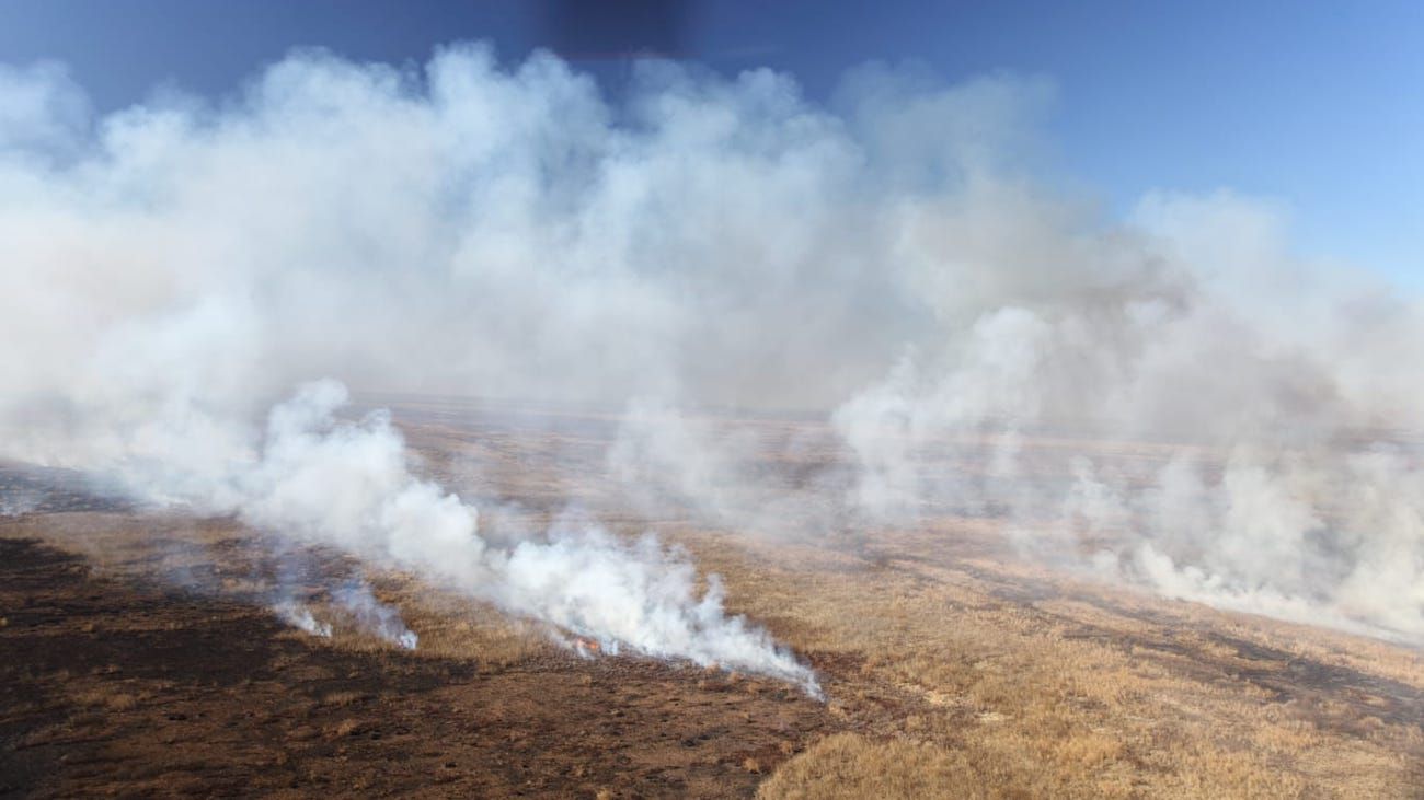 Se suman brigadistas y recursos para combatir focos de incendios en el Delta Paraná