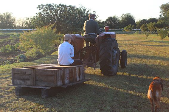 En Finca Rosel invitan a sentirse un colono