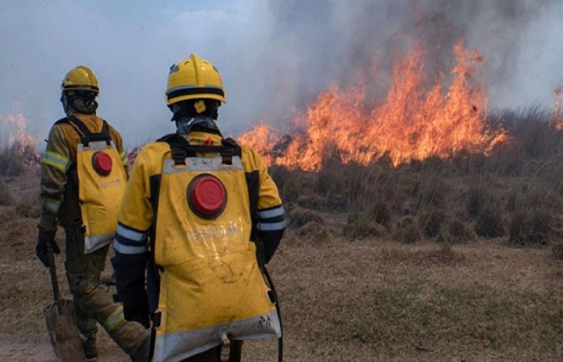 ¿Cómo es el plan para prevenir y combatir los incendios forestales en el Delta?