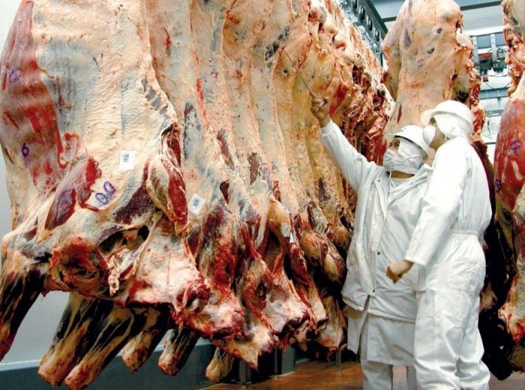 La faena de ganado en Uruguay podría caer al mínimo de los últimos 17 años