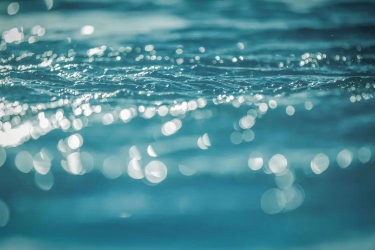 Por qué el agua no puede ser tomada como una mercancía