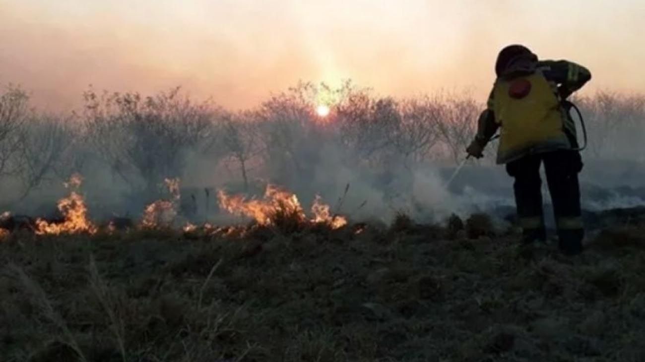Corrientes: los incendios forestales ya afectaron 180 mil hectáreas y "las pérdidas son incalculables"