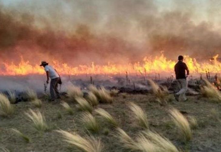 Por los incendios ya se quemaron 680 mil hectáreas