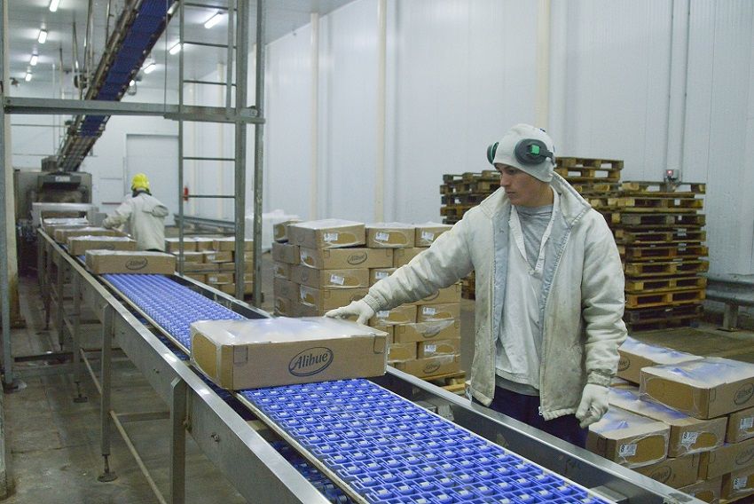 Productores de huevos podrían despedir trabajadores por aumento de costos